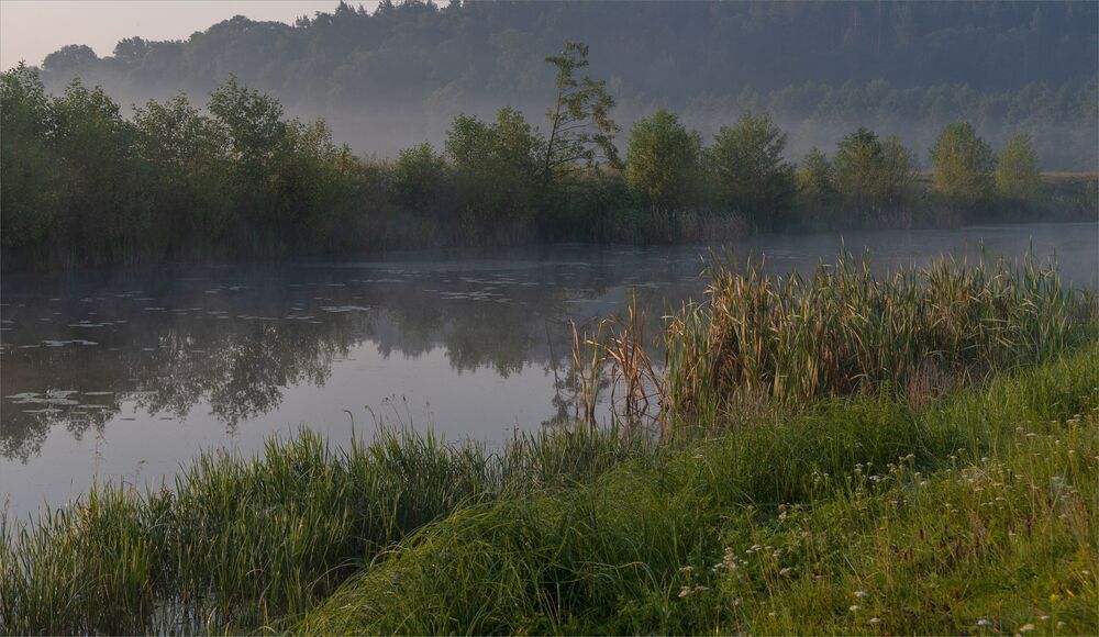 dawn pastoral...