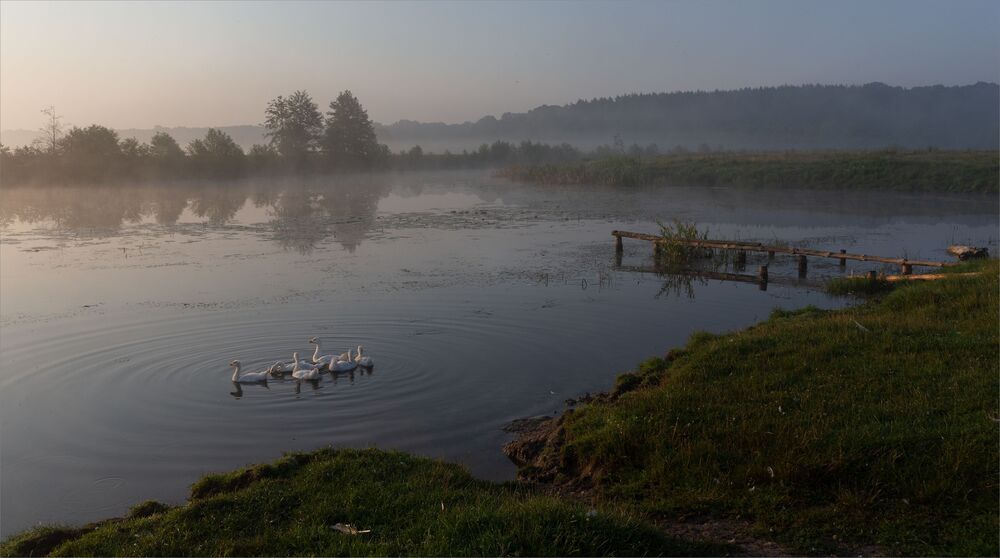 dawn pastoral...