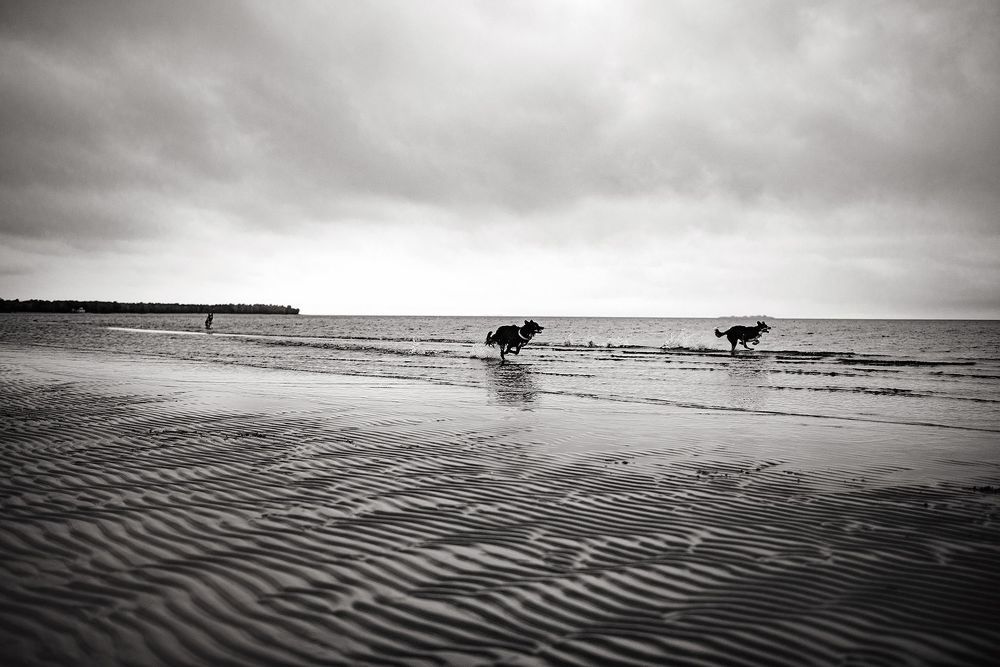 North Sea