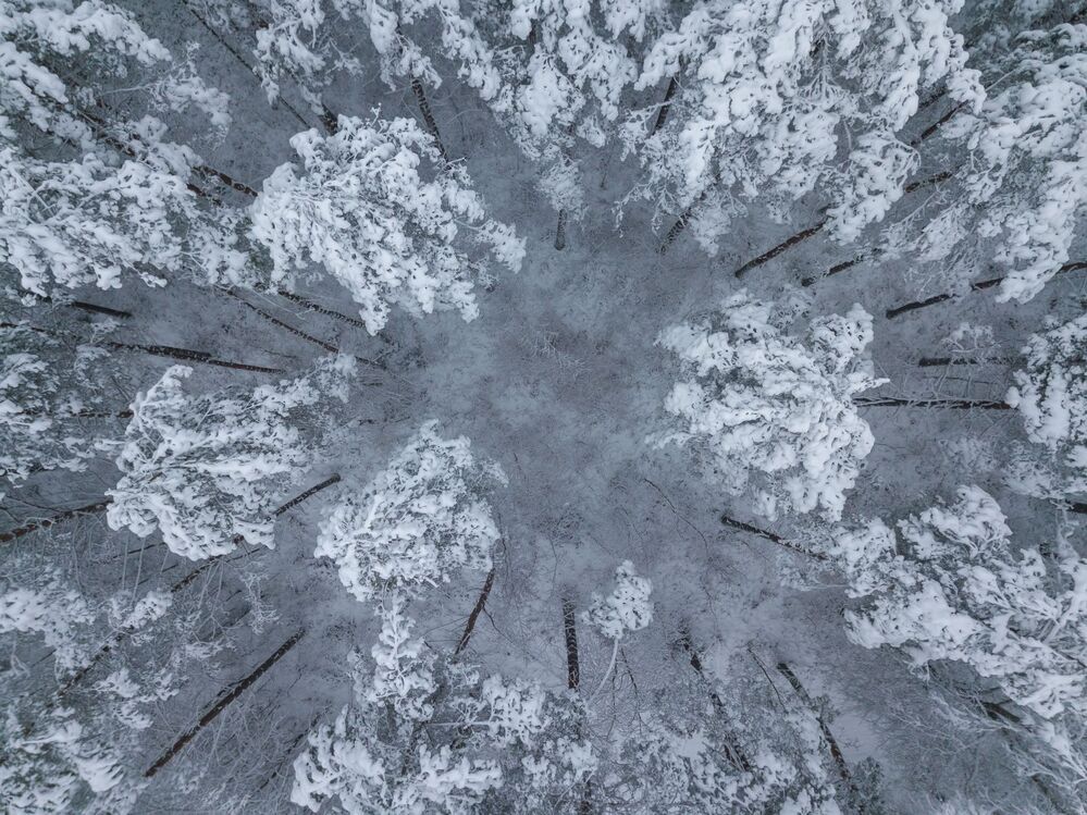 Псковская Сибирь