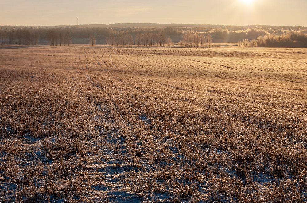 Замёрзшие поля. Мороз -18