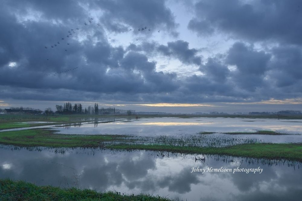Morning in Noordschote (Belgium).