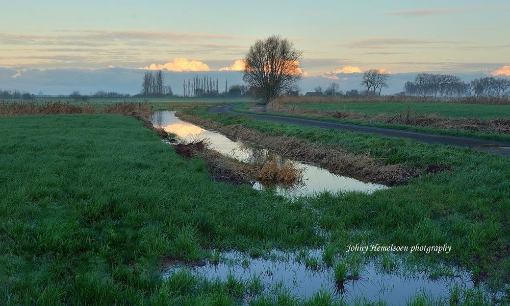 Morning in Noordschote (Belgium).