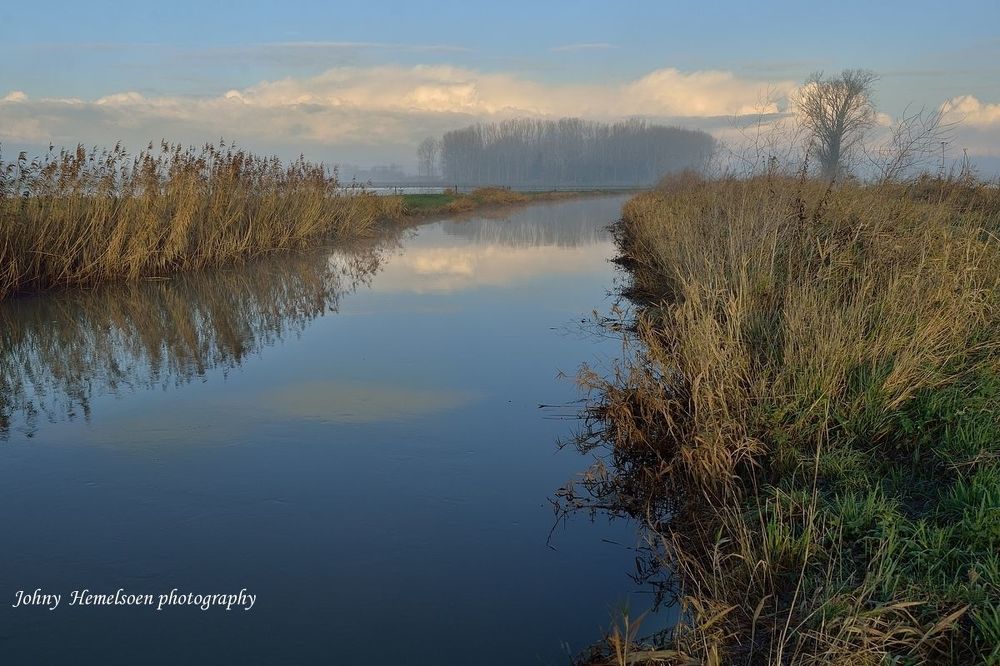 Morning in Noordschote (Belgium).