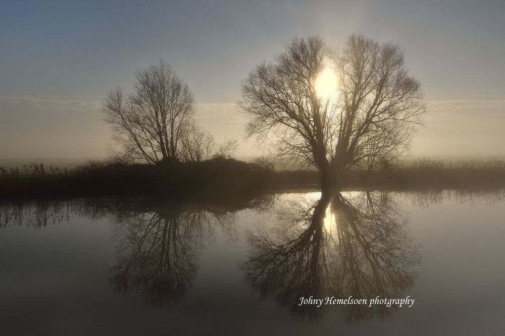 Morning in Noordschote (Belgium).