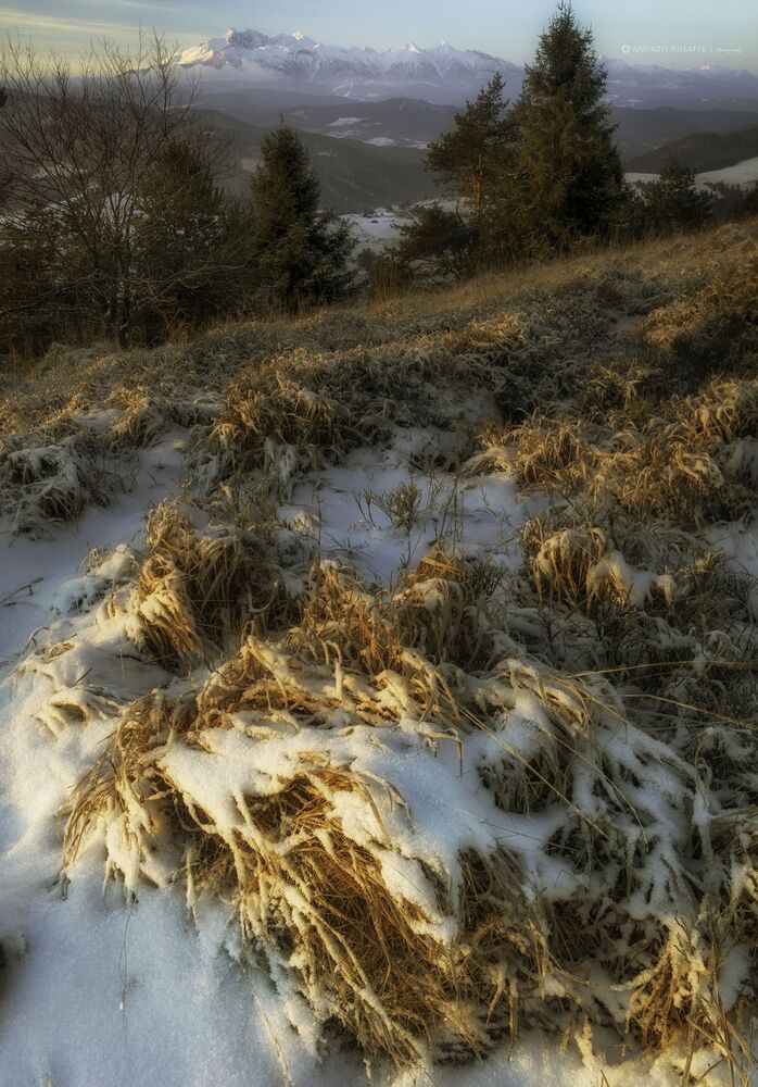 Landscapes