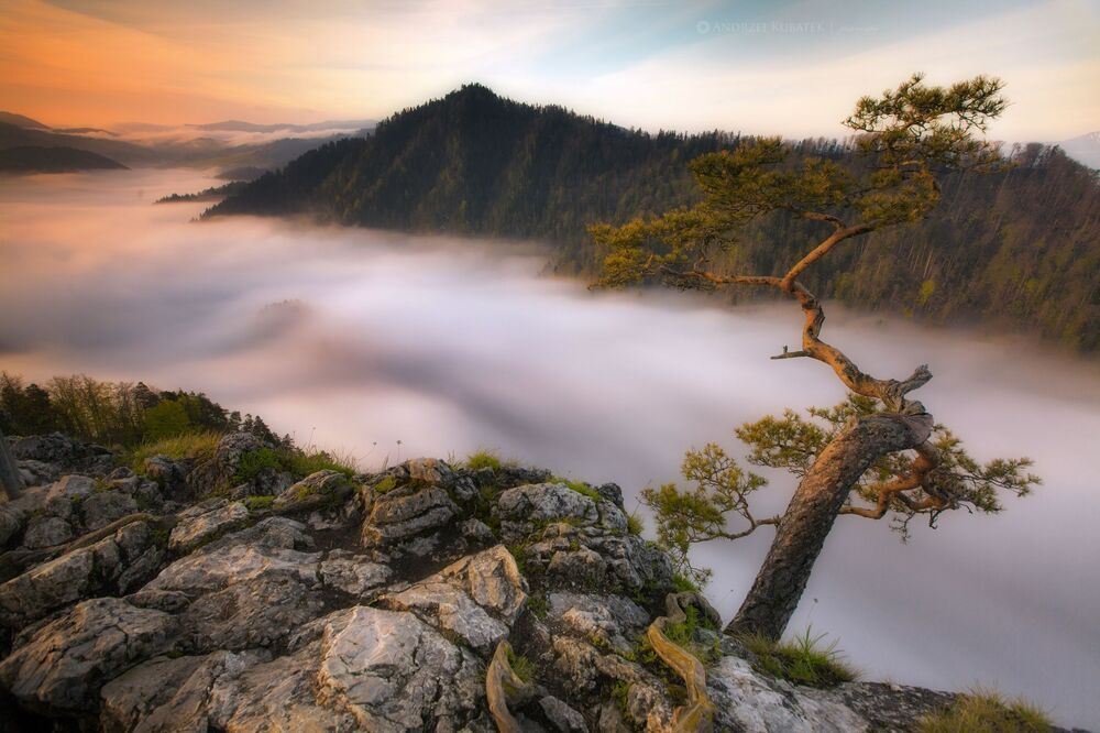 Landscapes