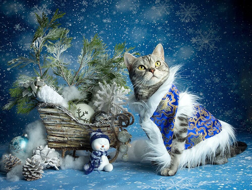 C Новым Годом! Happy New Year!