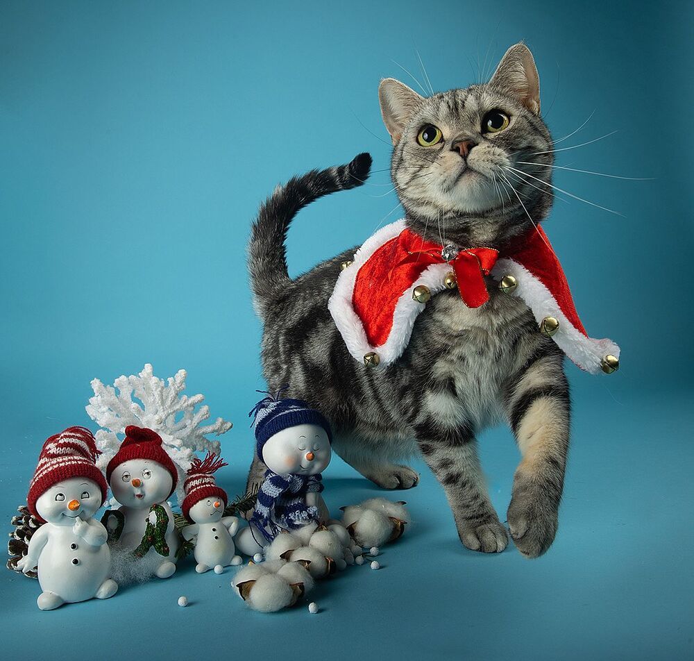 C Новым Годом! Happy New Year!