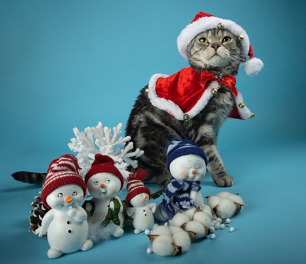 C Новым Годом! Happy New Year!