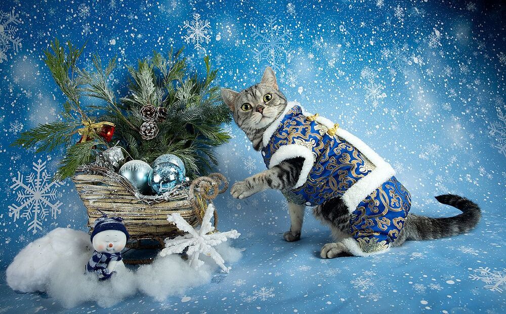 C Новым Годом! Happy New Year!
