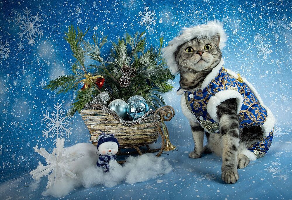 C Новым Годом! Happy New Year!