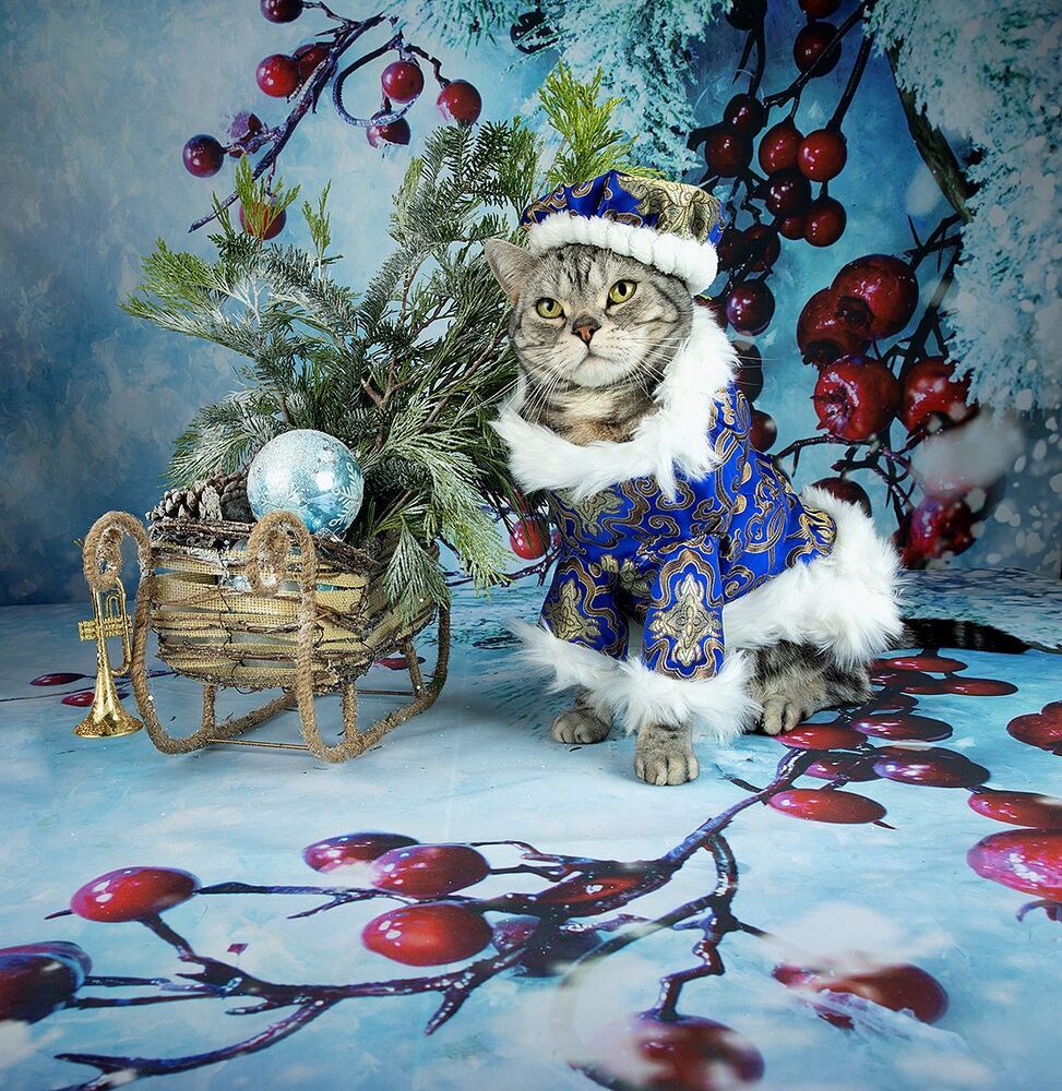 C Новым Годом! Happy New Year!