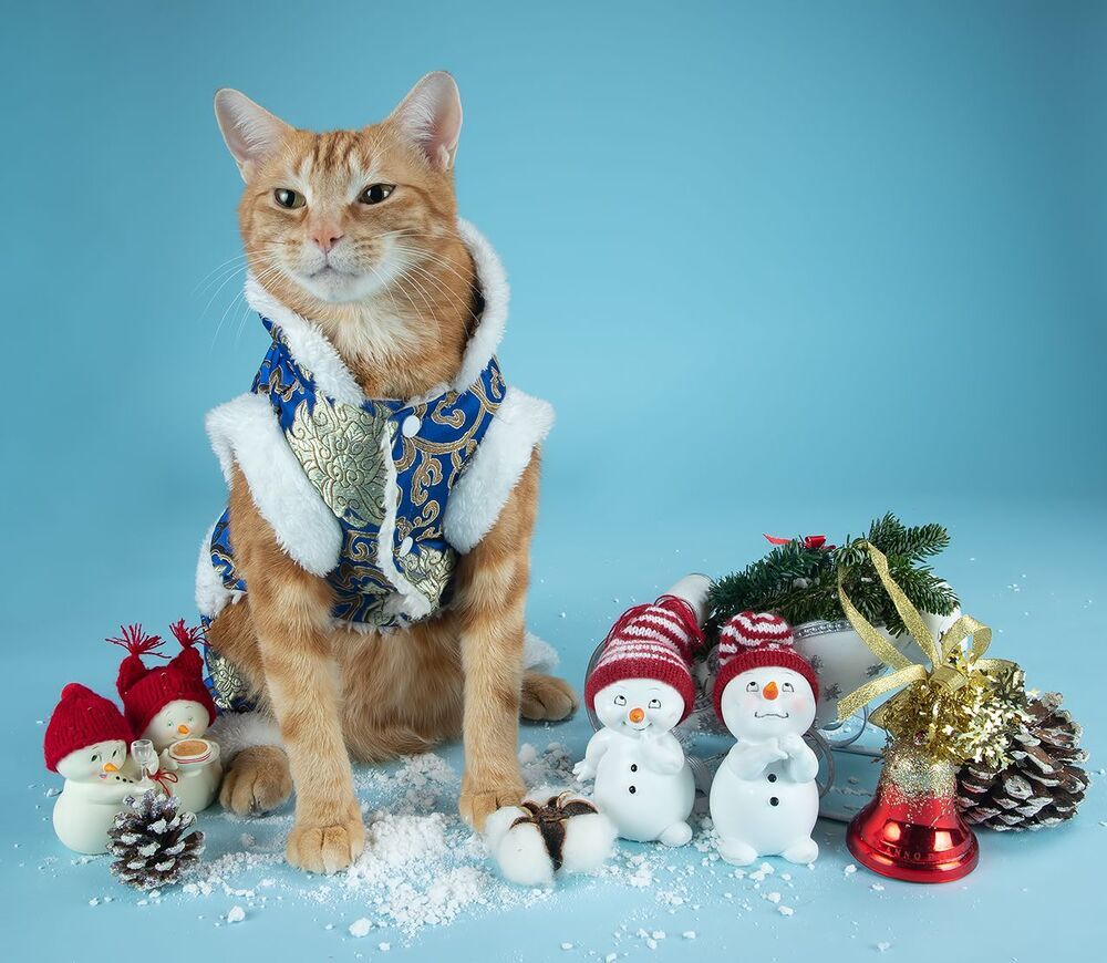 C Новым Годом! Happy New Year!