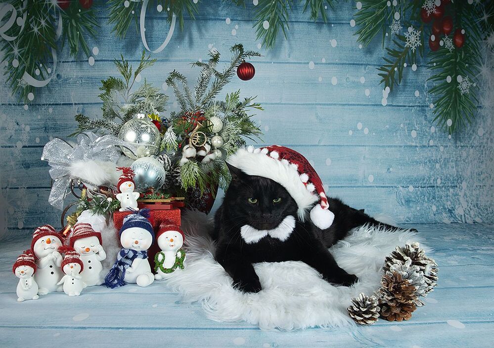 C Новым Годом! Happy New Year!