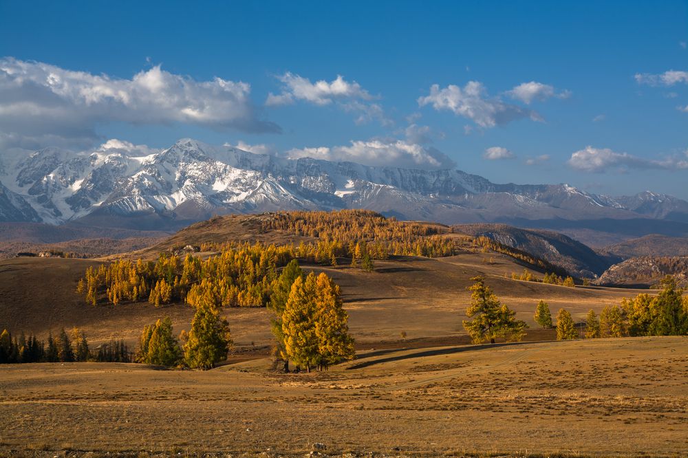 Белогорье