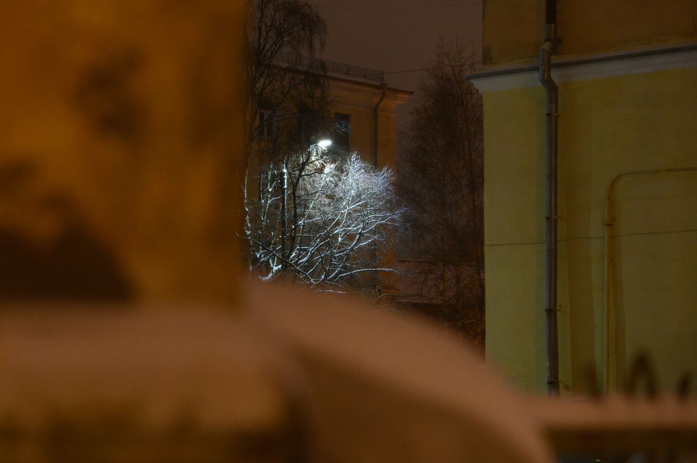 Не смотри из окна автобуса, если боишься уснуть от скуки
