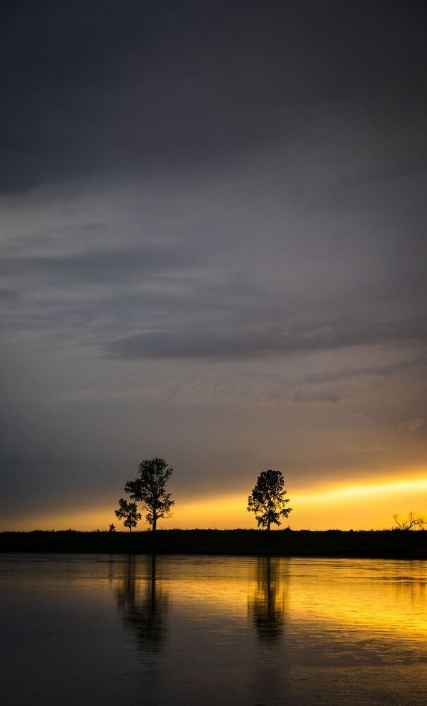Photo 1838529