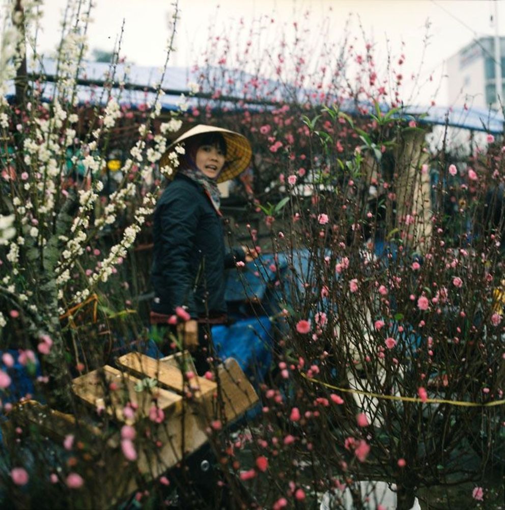 Quang Ba Flower market on Lunar New Year 2012