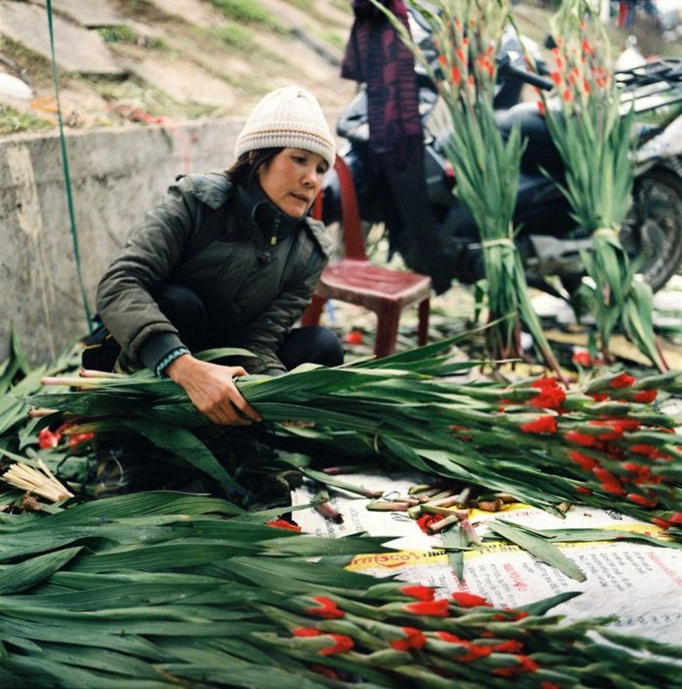 Quang Ba Flower market on Lunar New Year 2012