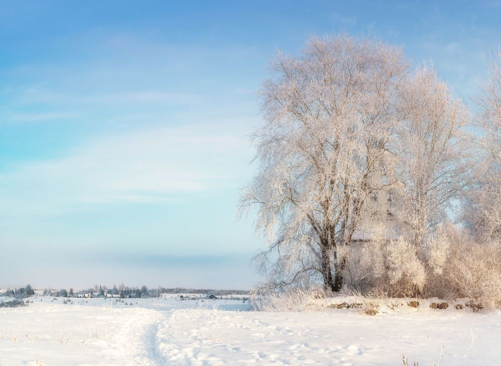 Russian Winter