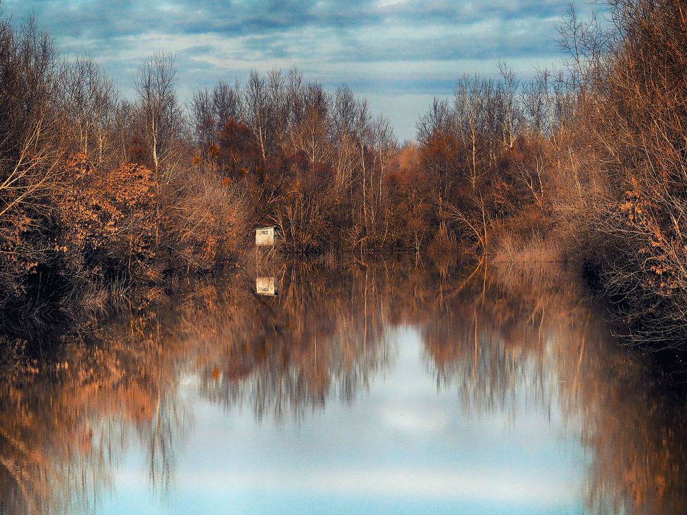 Flood 2021