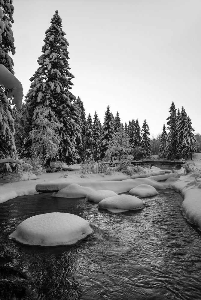 Вдоль реки