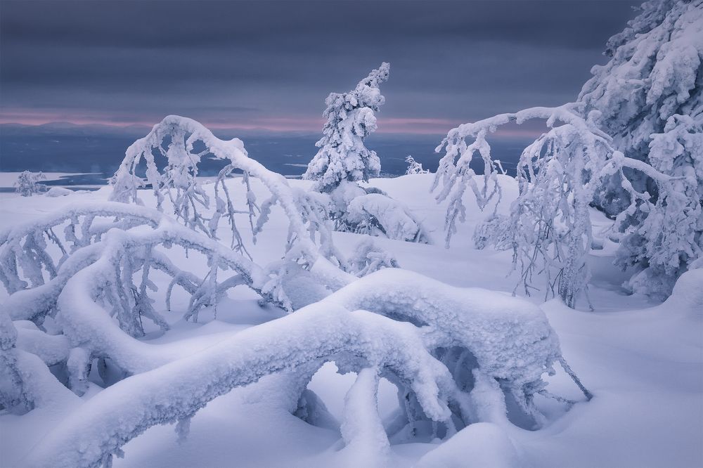 Снежное царство