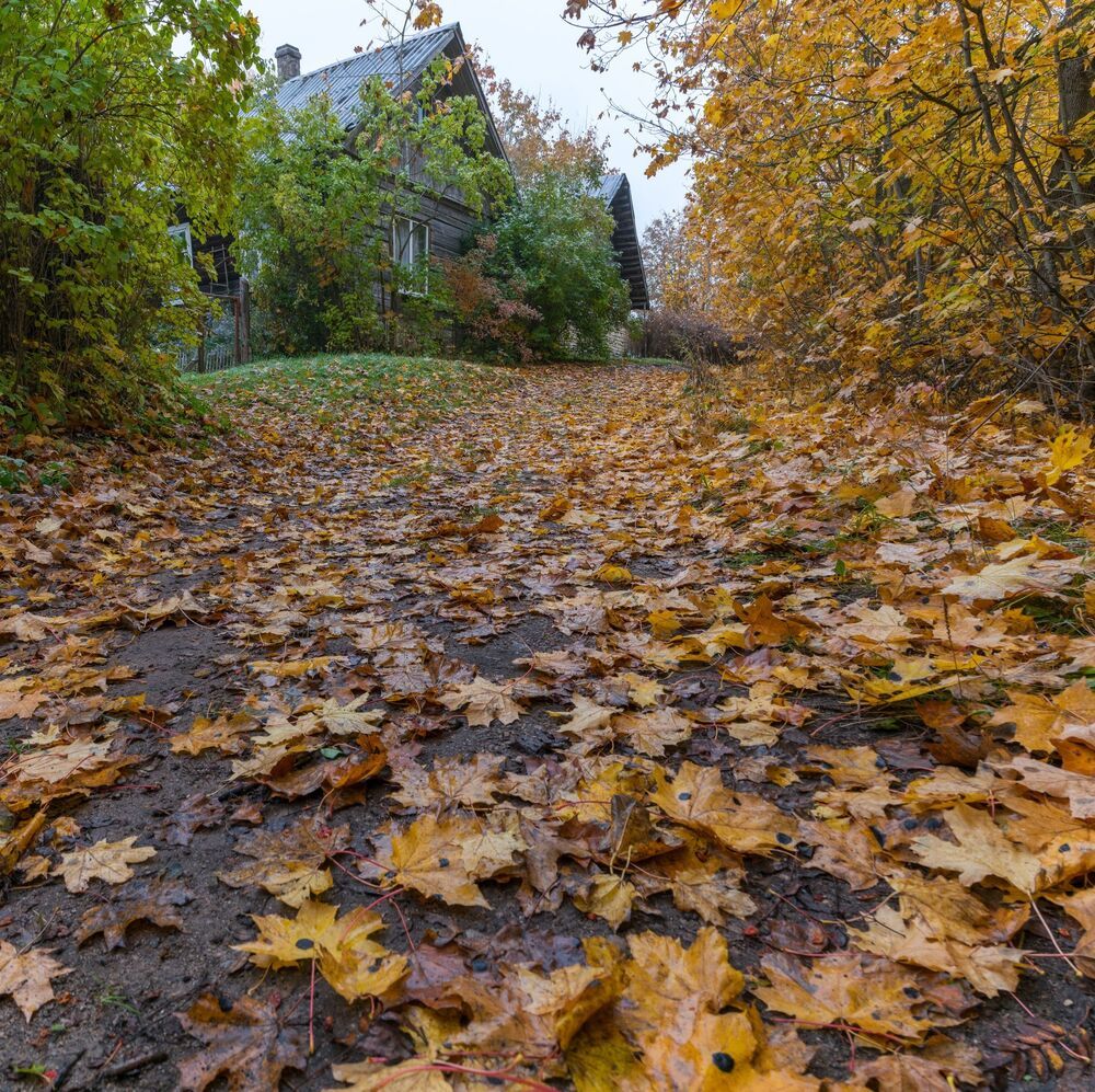 Осень