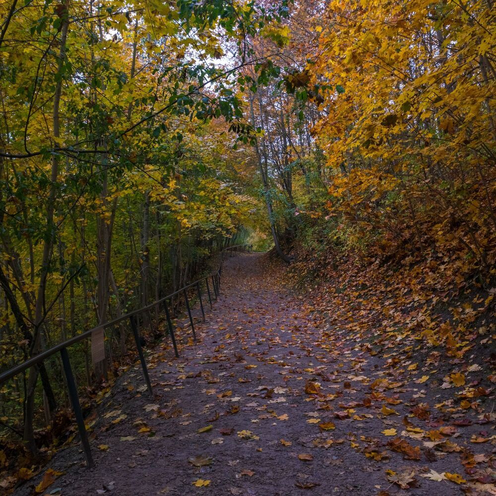 Осень