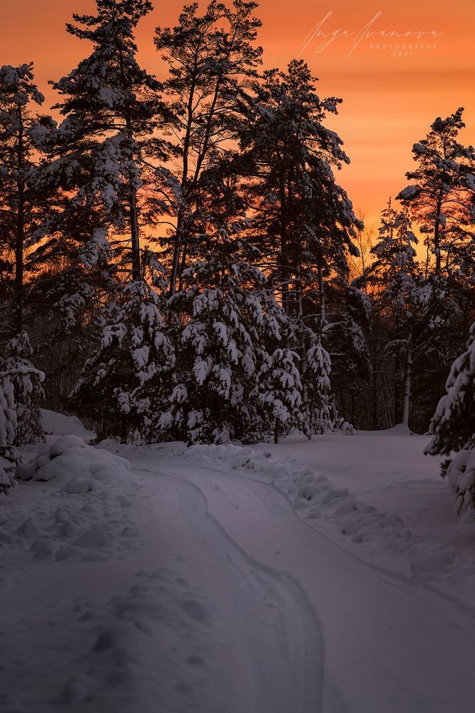 -19