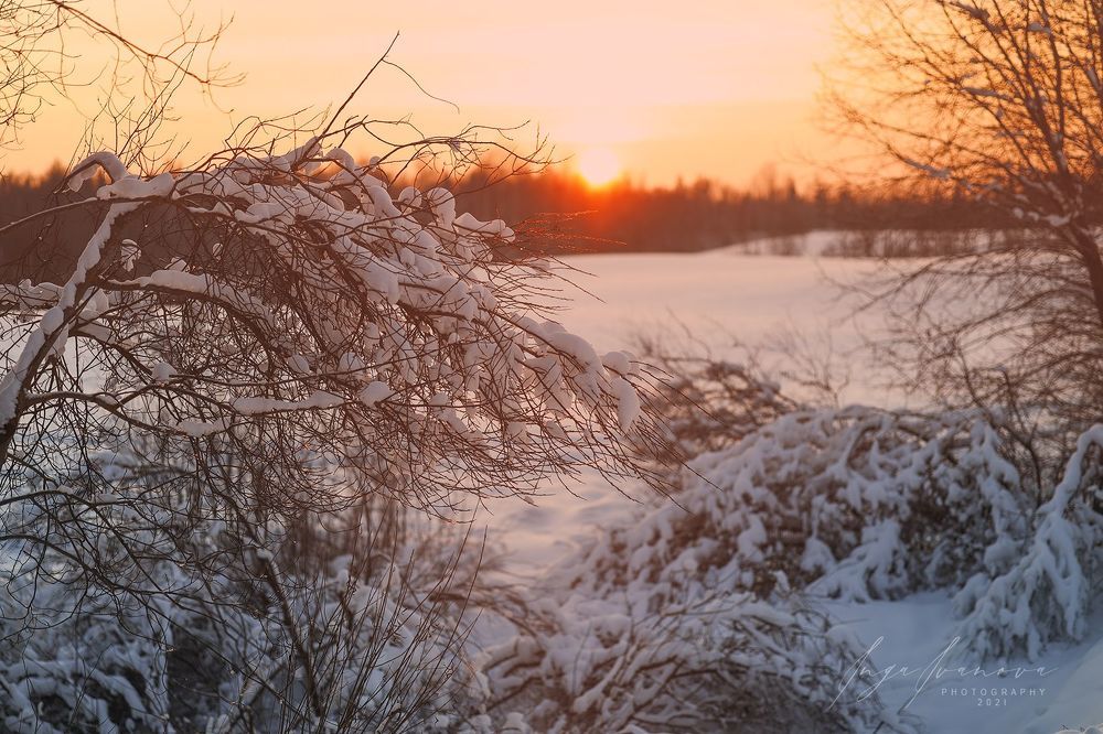 -19