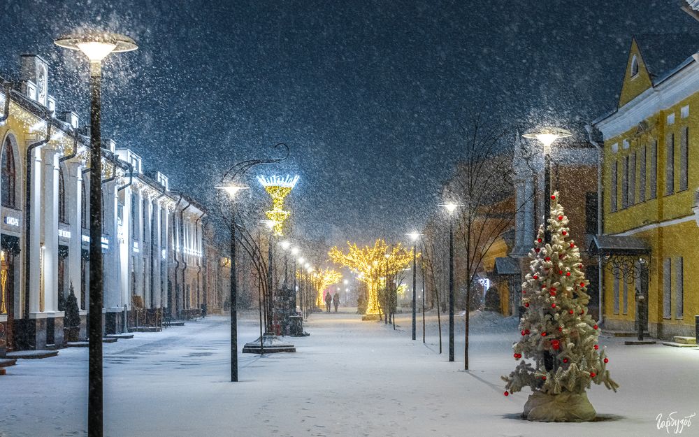 Снегопад в Туле