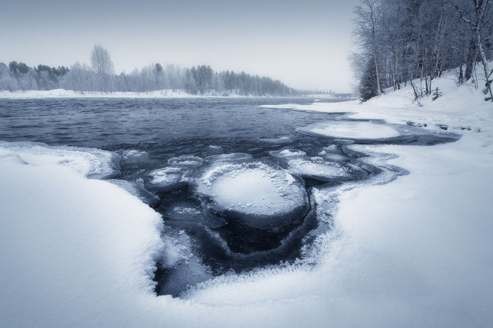 Северный монохром