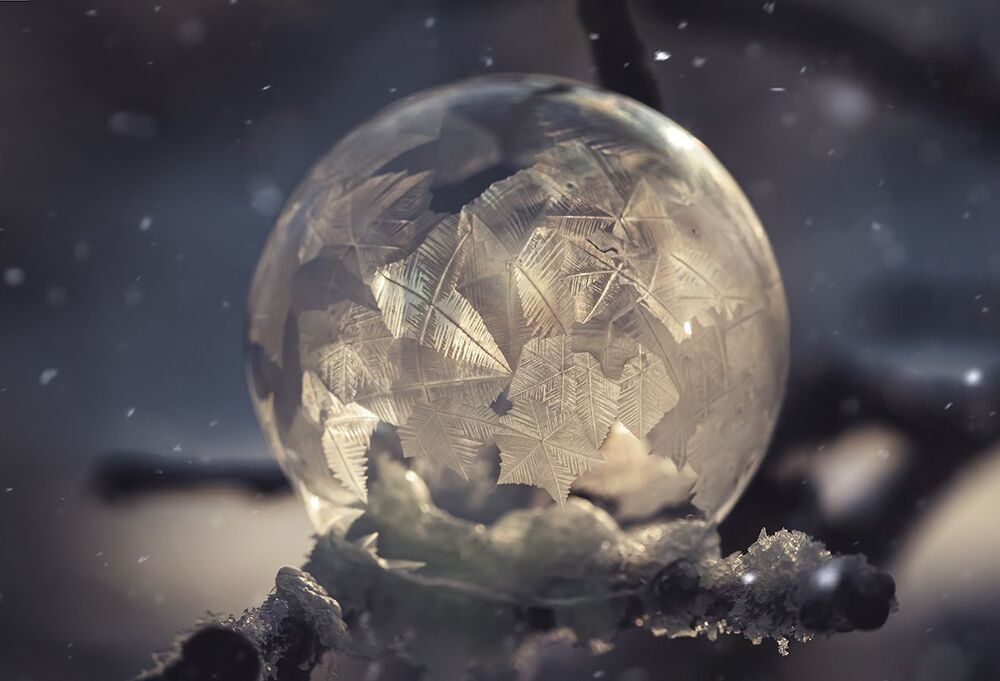 Frozen