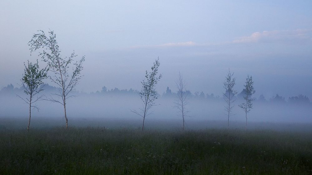 Летние воспоминания