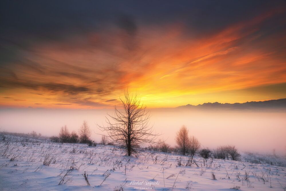 Today's sunrise...