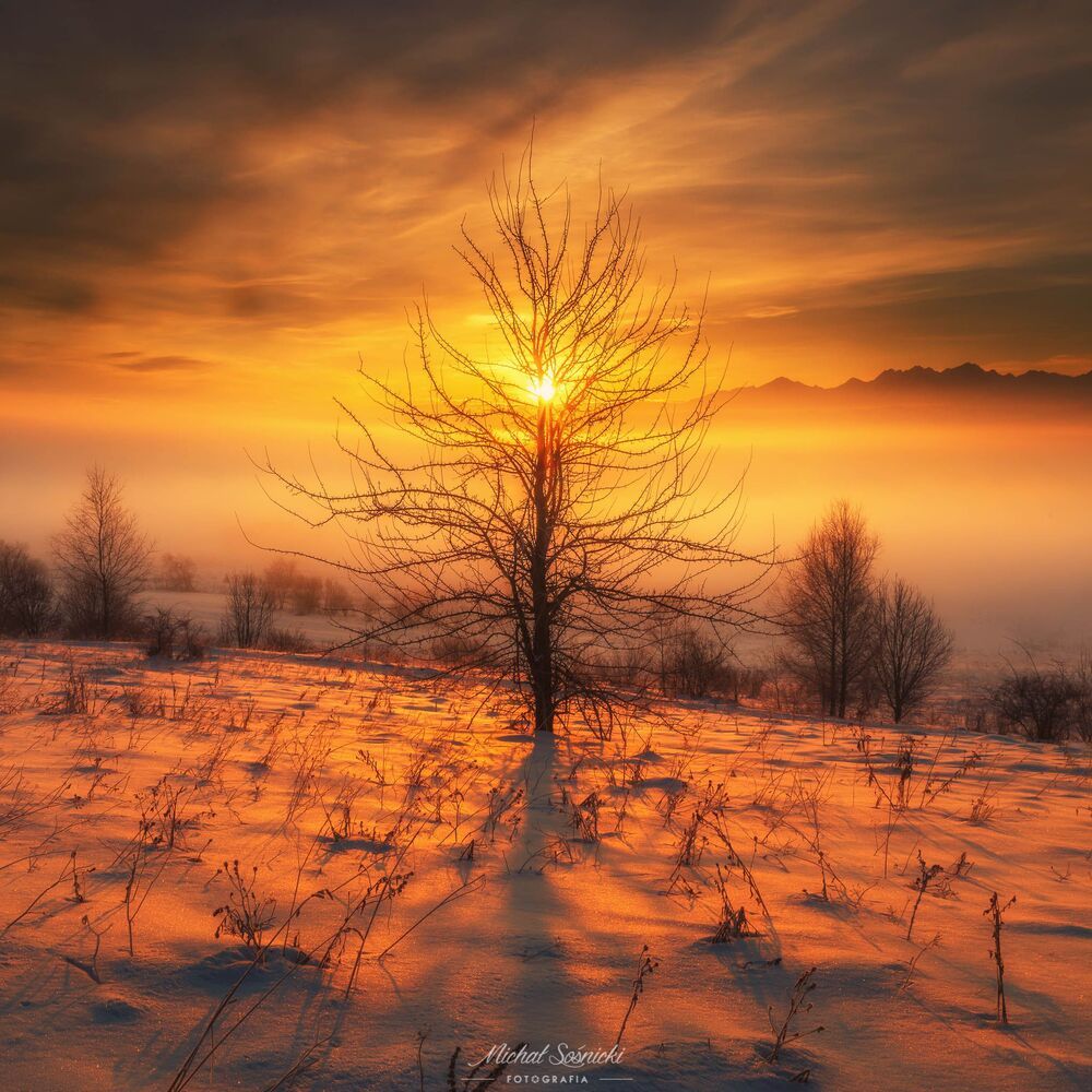 Today's sunrise...
