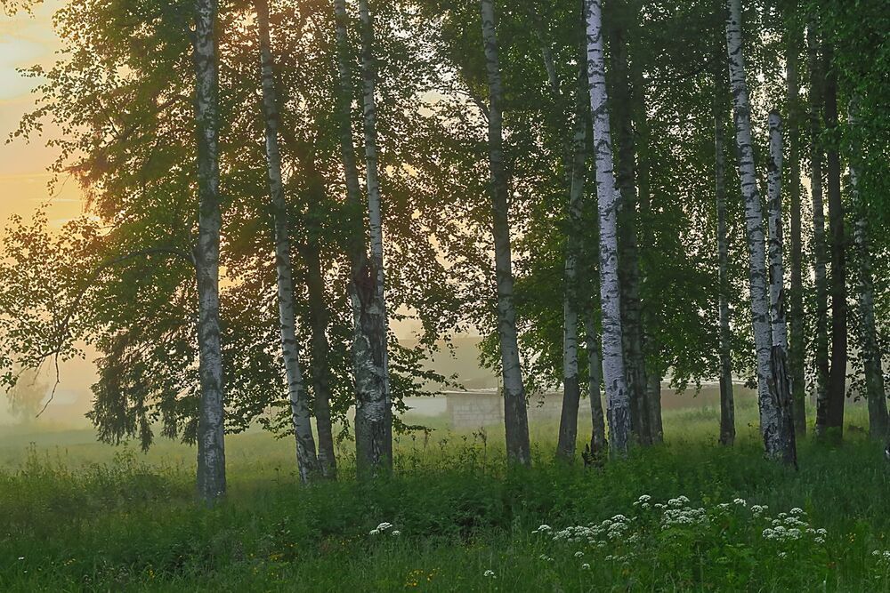 Утро в Постоле