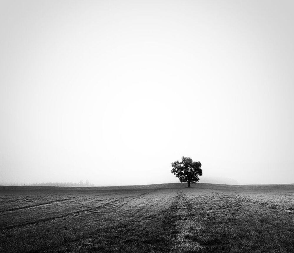 ..!..