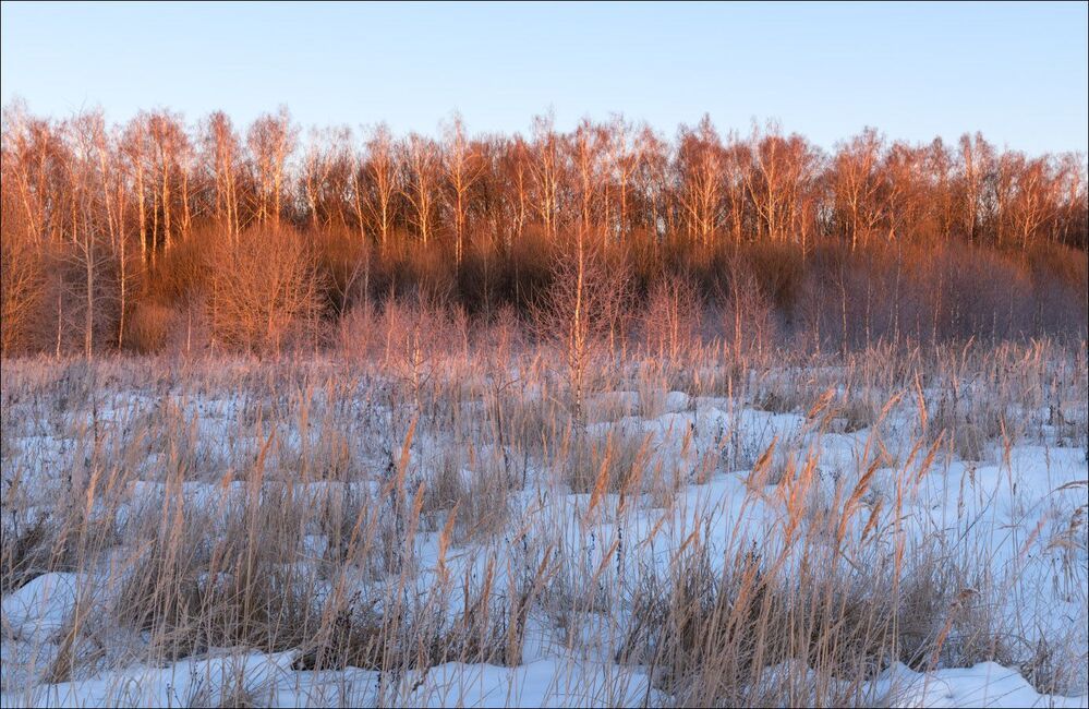 В первых лучах