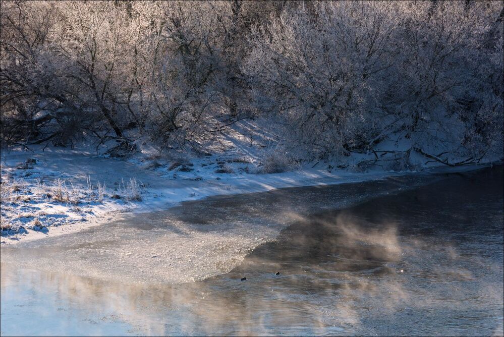 Утки на Упе заиндевелым утром