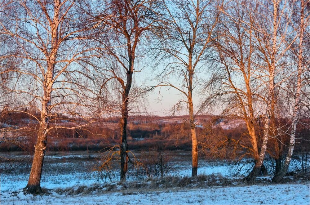 В последних лучах