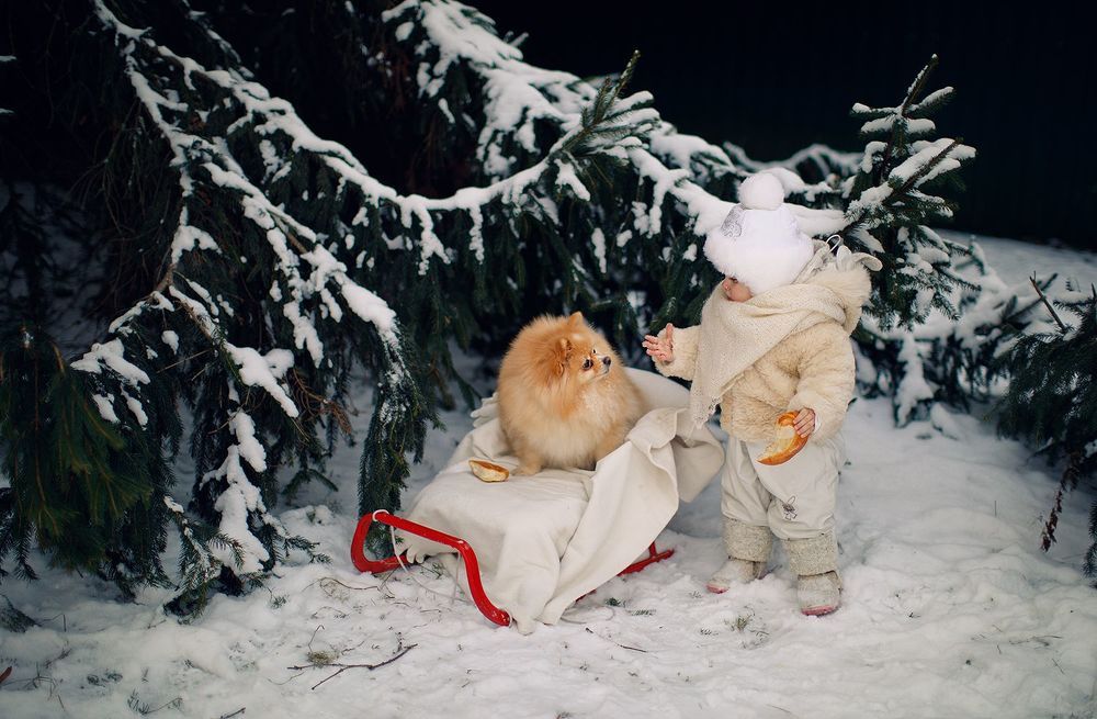 Photo 1851985