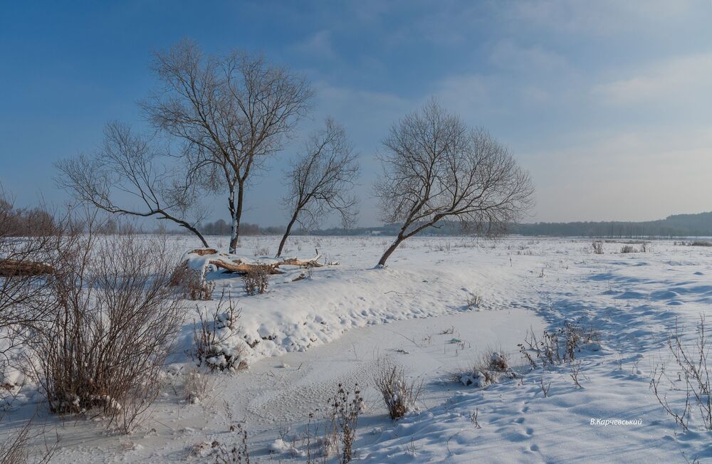 мороз и солнце...