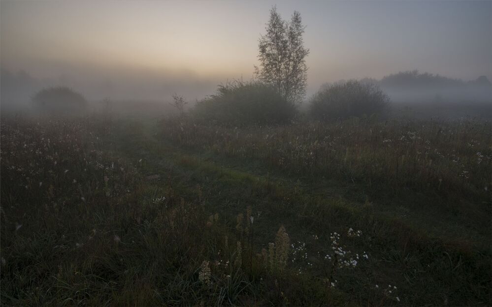 pre-dawn...