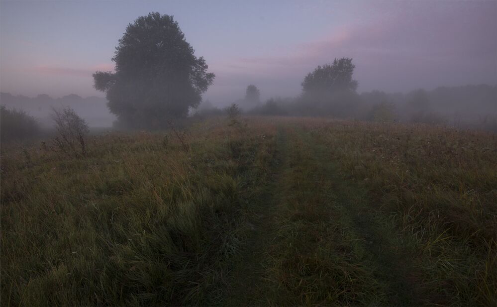 pre-dawn...