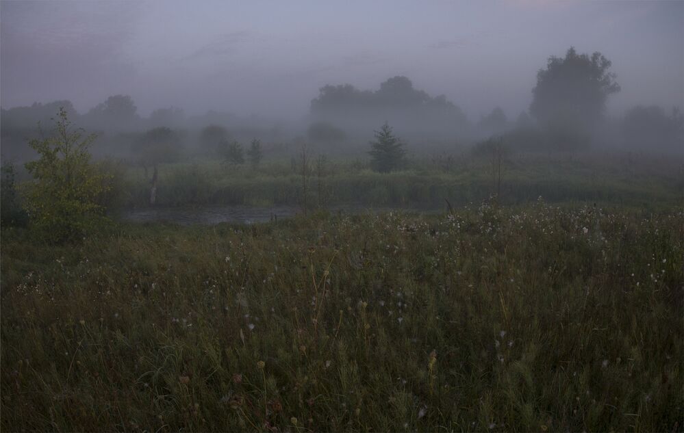 pre-dawn...
