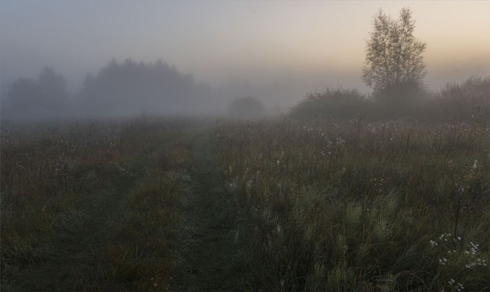 pre-dawn...