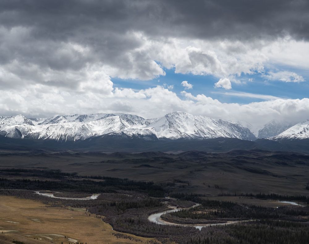 Курайская степь